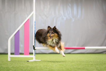 Agility irtotunnit