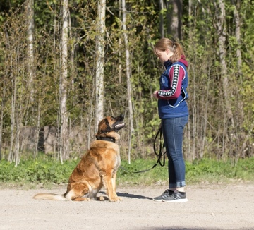 Kehitä koulutustaitojasi