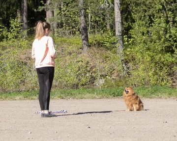 Kiva koirakansalainen